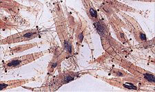 78fba995.jpg