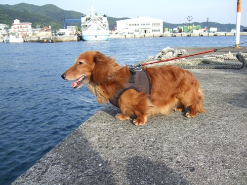 今日の海は ええ感じやなぁ〜