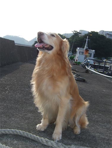 暑くなったねぇ〜