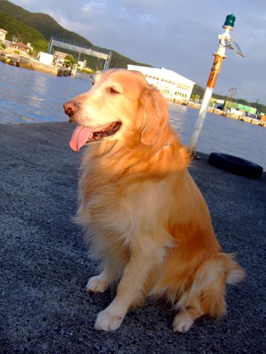 夕陽を浴びたカルポー