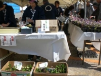 行者にんにく