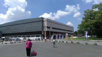 名古屋場所3