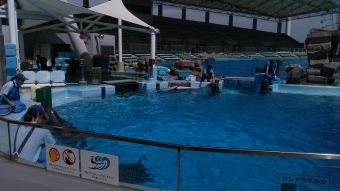 名古屋港水族館4