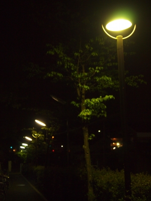 P5080598.jpg