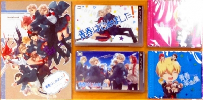 青春はじめました限定版 中身03