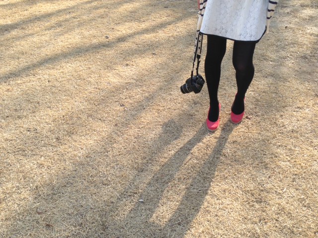 2 ささべさんカメラ.JPG