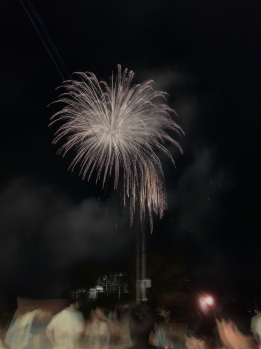 2019年 令和元年 高知のドコモショップ いの町民祭仁淀川まつり