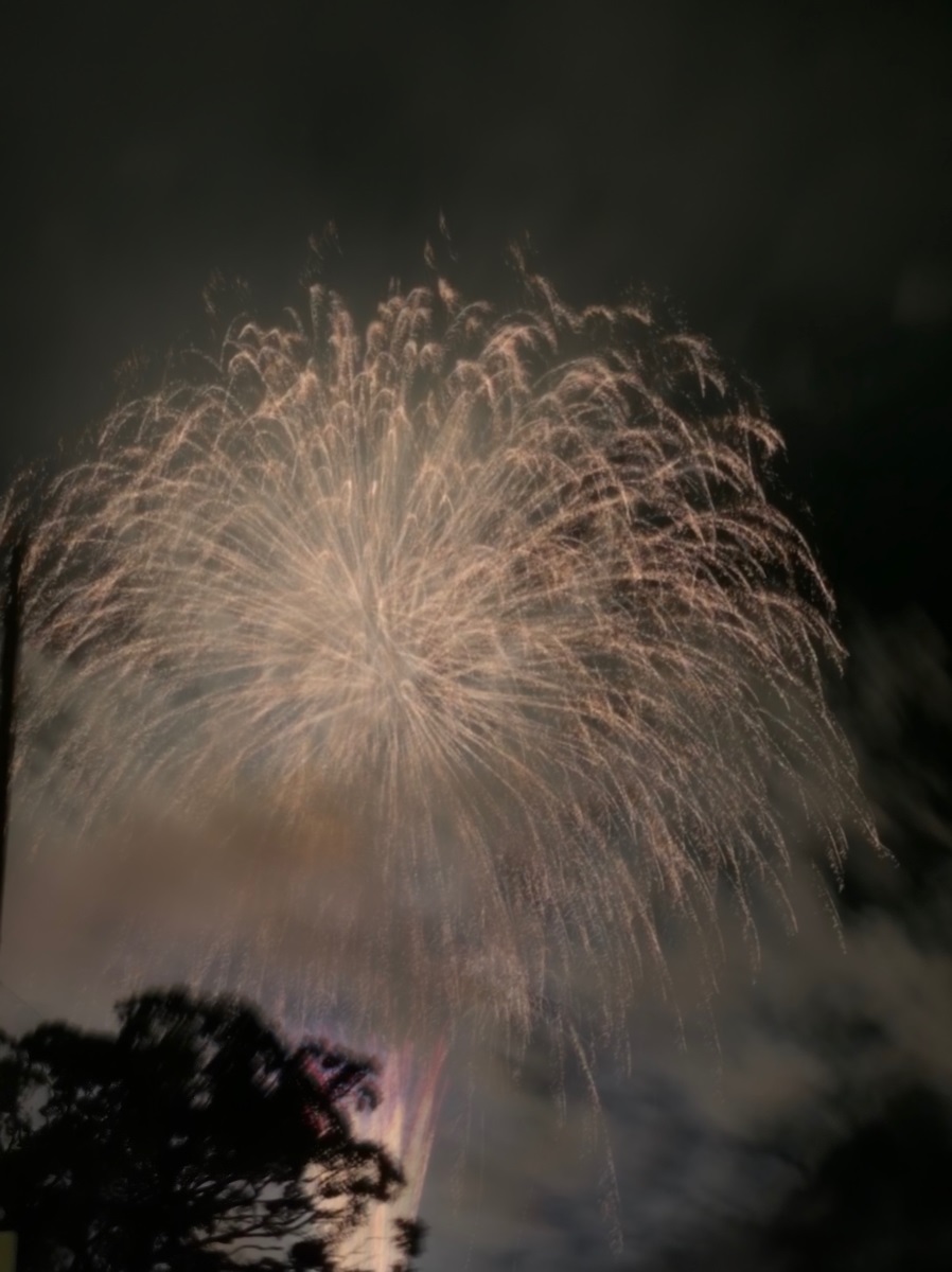 2019年 令和元年 高知のドコモショップ いの町民祭仁淀川まつり