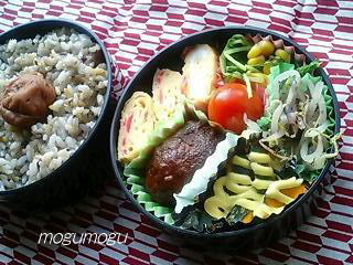 煮込みハンバーグ弁当