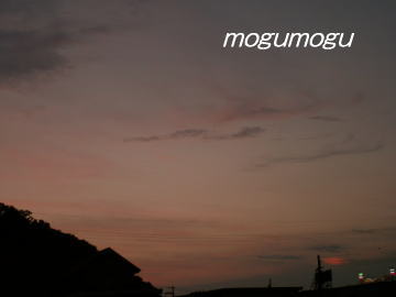 8.28夕方