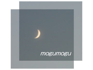 8.28 月