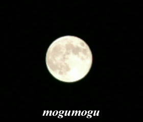 十六夜のお月様