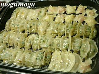 いろいろ餃子♪