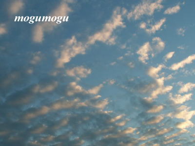 秋の空1