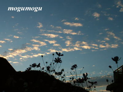 秋の空2