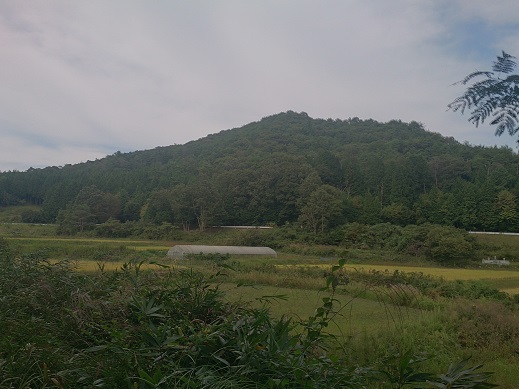 DSC_3585.jpg