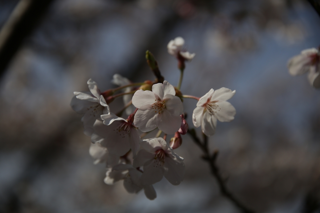 露出−2