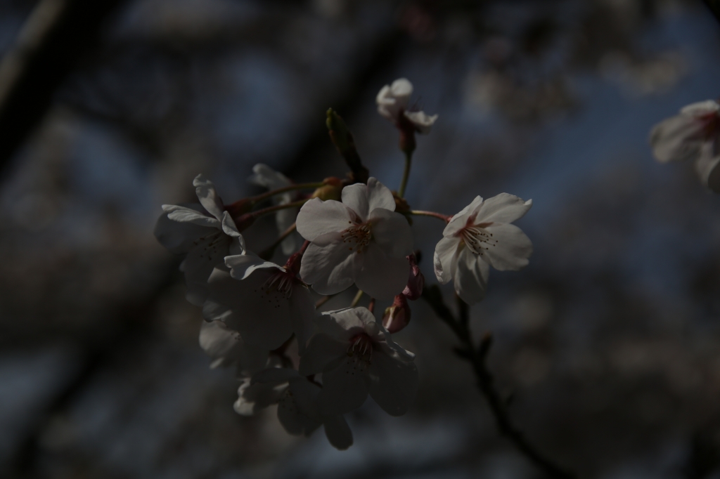 露出−3