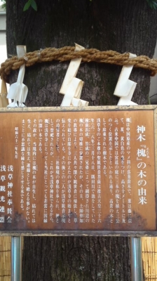 180709_1319~01.jpg