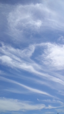 20180921_1512871.jpg