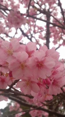 20190318_1614686.jpg