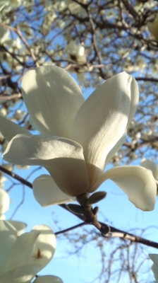 20190322_1617106.jpg