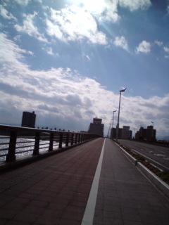 20081206112950.jpg