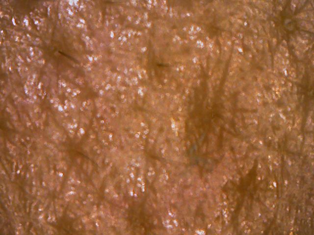 140705_001.jpg