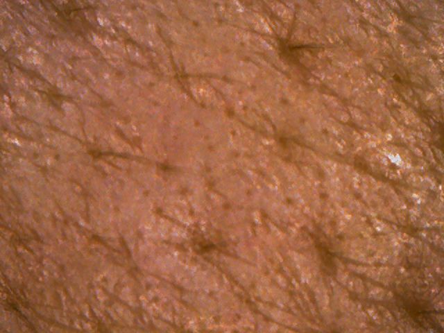 140705_005.jpg