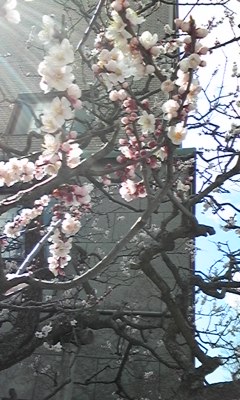 110331_131319.jpg