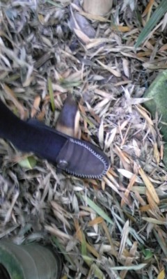110508_161701.jpg