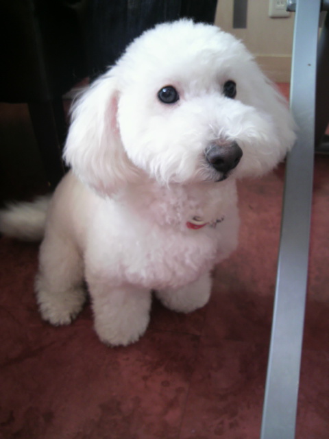 2011010213050001.jpg