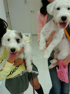 2011053110560000.jpg