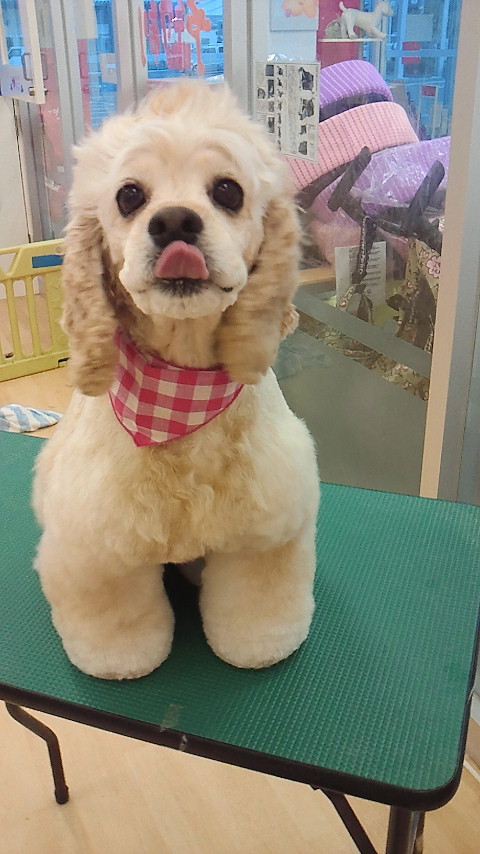 2011062018390004.jpg
