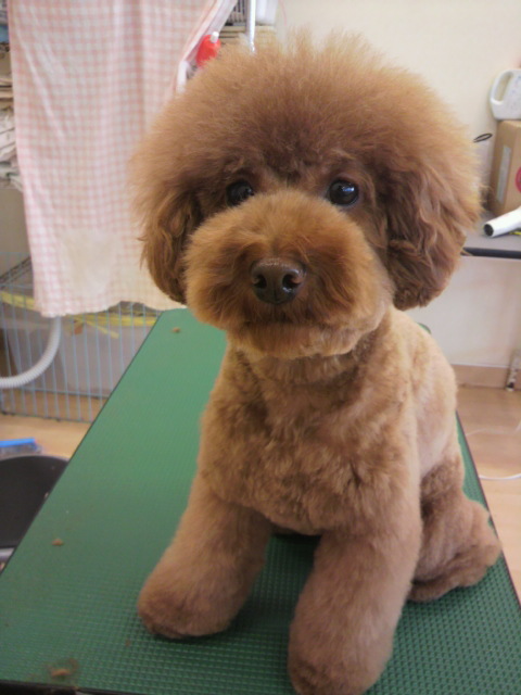 2011070117530001.jpg