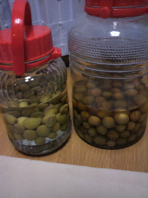 2011070621350000.jpg