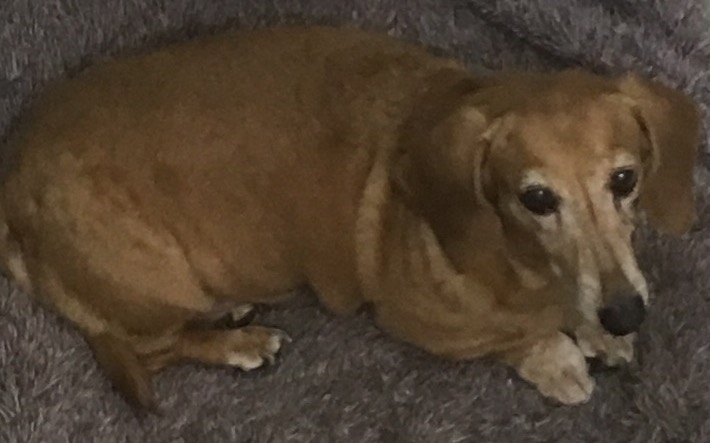 FullSizeRender.jpg