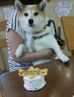 img1470636656096.jpg