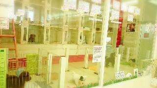 rps20160811_132915_731.jpg