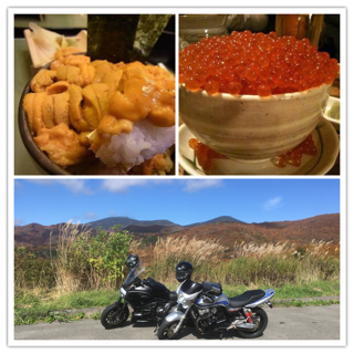 IMG_5766.PNG