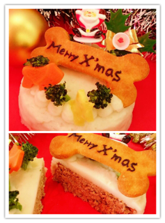 IMG_5896.PNG