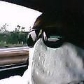 P504iS01028.jpg