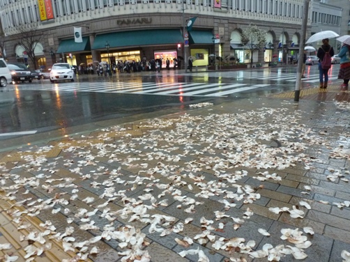 P1010147.JPG