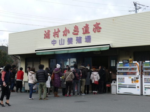 P1100144.JPG