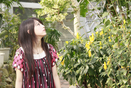 お花なのかはわからない