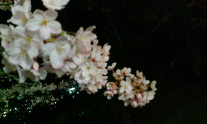 頑張ったよ