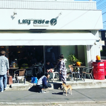 祝 阿部ドッグスクール10周年 まめしばの寅