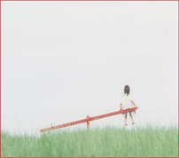 nakamura02