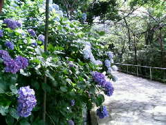 200706231429000.jpg