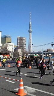 201302241311000.jpg